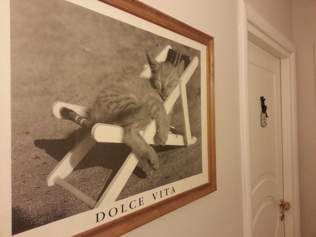 Hotel Il Gatto Rapallo Exteriér fotografie